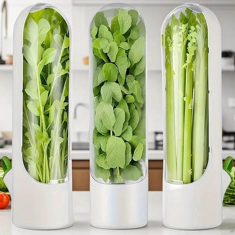 Vegetable Preserving Box