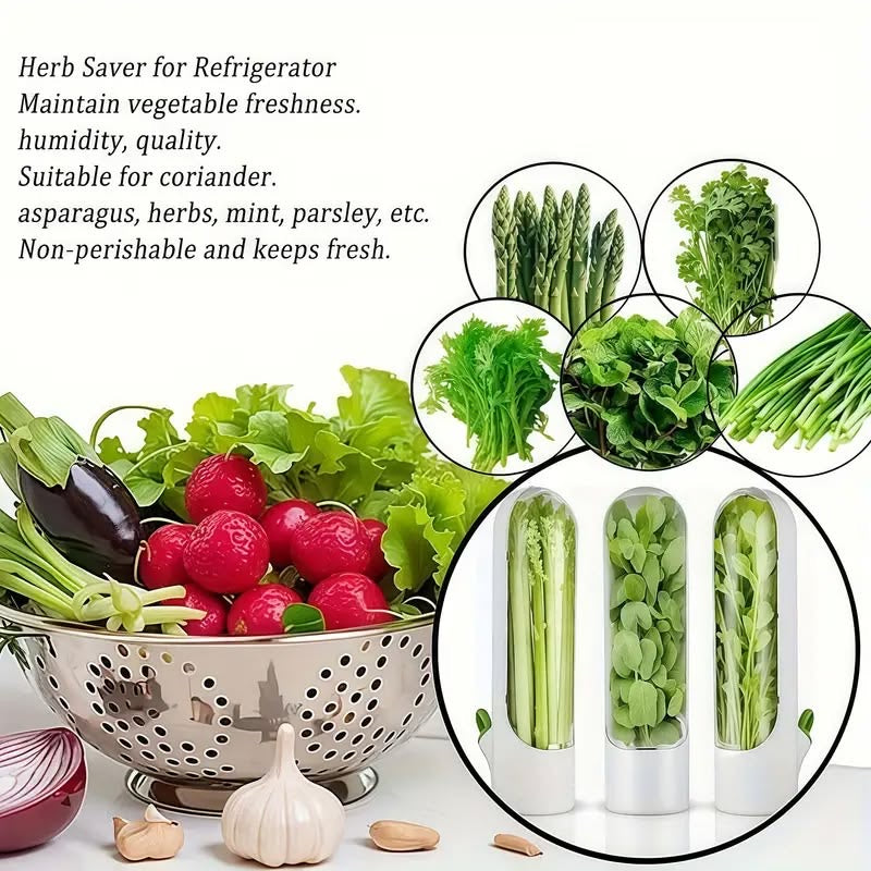 Vegetable Preserving Box