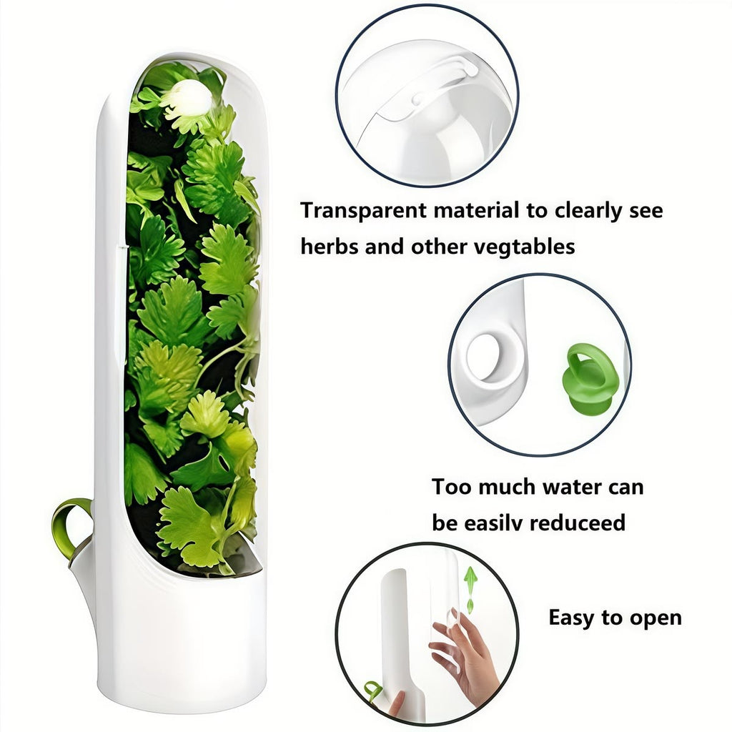 Vegetable Preserving Box