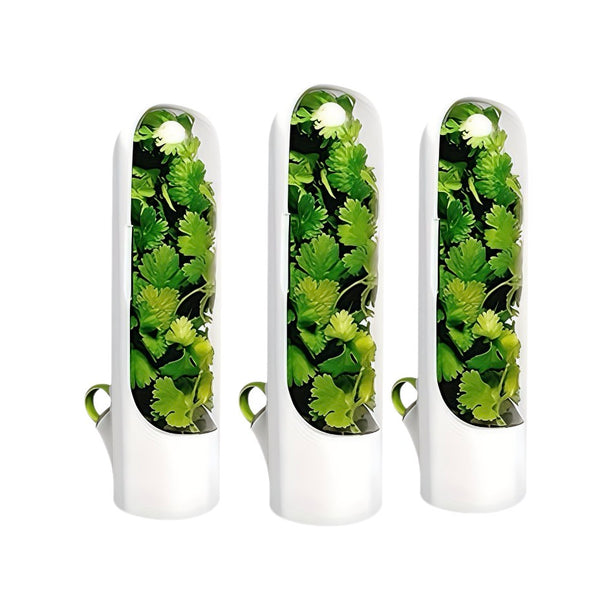 Vegetable Preserving Box